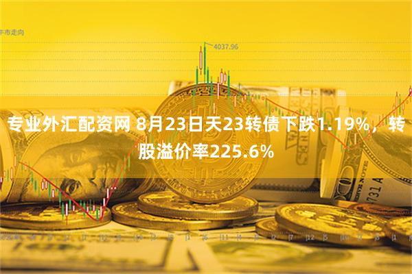 专业外汇配资网 8月23日天23转债下跌1.19%，转股溢价率225.6%