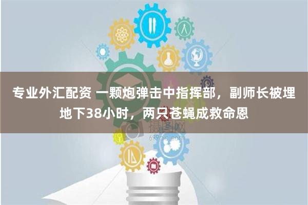 专业外汇配资 一颗炮弹击中指挥部，副师长被埋地下38小时，两只苍蝇成救命恩