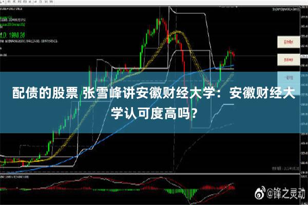 配债的股票 张雪峰讲安徽财经大学：安徽财经大学认可度高吗？