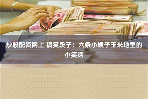 炒股配资网上 搞笑段子：六条小姨子玉米地里的小笑话